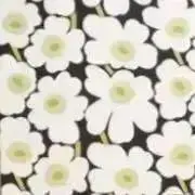 SAKURAの画像