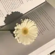 Y.Nの画像