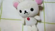 クマの画像