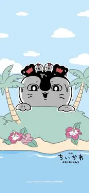 カズの画像
