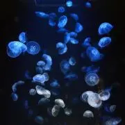 かっぽろの画像