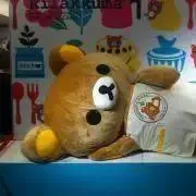 くま。の画像