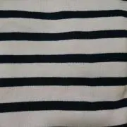 saurusの画像
