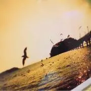 Kei Osakaの画像