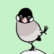 Saku⭐︎の画像