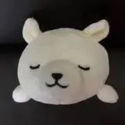 みかん※プロフ必読