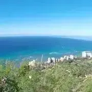 yuchan＊の画像