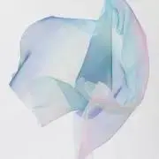 ポリエスの画像