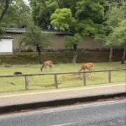 さもんぬ
