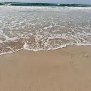 saricoの画像