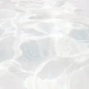 M.