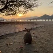 楠(6/5-7発送休)の画像