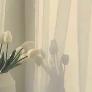 りいの画像