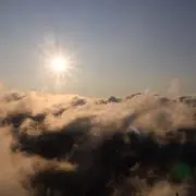 miiの画像