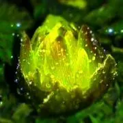 Eight   ※プロフ 確認くださいの画像