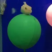 あおりんご☆の画像