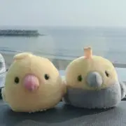 ていのすけの画像