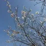 ママの画像