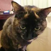 ジョナサンの画像