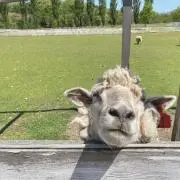 すんの画像