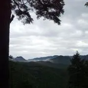 ナナの画像