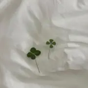 ぴく