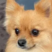 あさみ