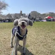 そらの画像