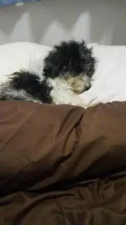 牛太ママ