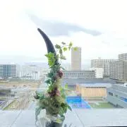 Meimeiの画像