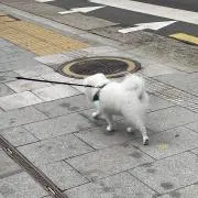 @tgamtdjの画像