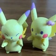 achoの画像