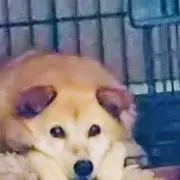 ♡ねぎとろ♡土日祝 発送休み☆
