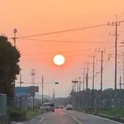 くーの画像