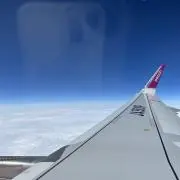 たかの画像