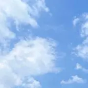 とん