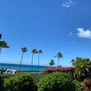 sabai diiの画像