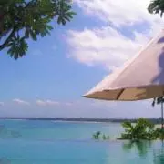 monoの画像