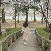 Toiの画像