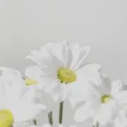 Miの画像