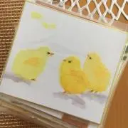 キコの画像