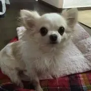 くぅ