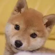 美食家 【フォロー割実施中】の画像