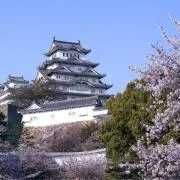りょーの画像