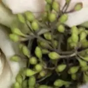 ワクワクの画像