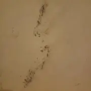 もっちもちの画像