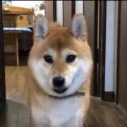 tetsuの画像