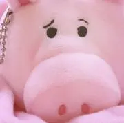 さんふらわあの画像