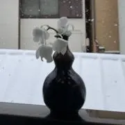 グエンの画像