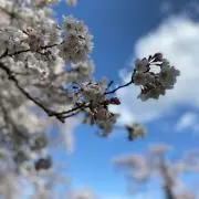 あい